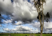 PG电子-包含梅西连续十二场比赛得分超过反败为胜，IG不断突破！赛场气氛高涨的词条